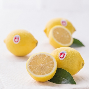 South Africa lemon